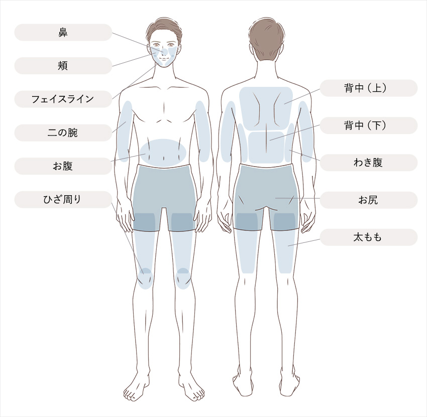 効果的な部位